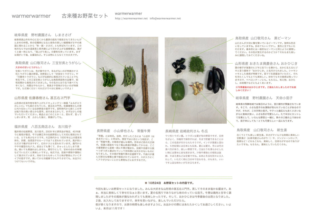 10月24日　お野菜セット