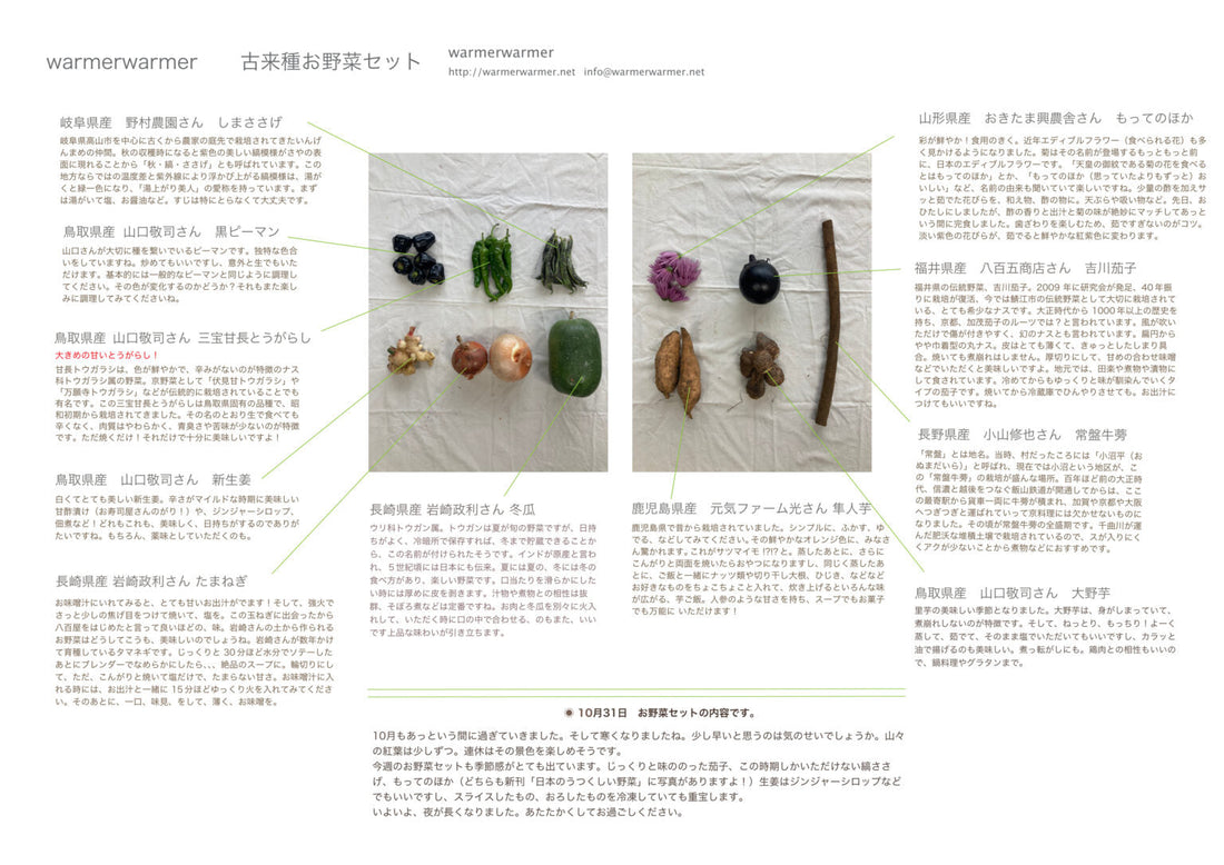 10月31日　お野菜セット