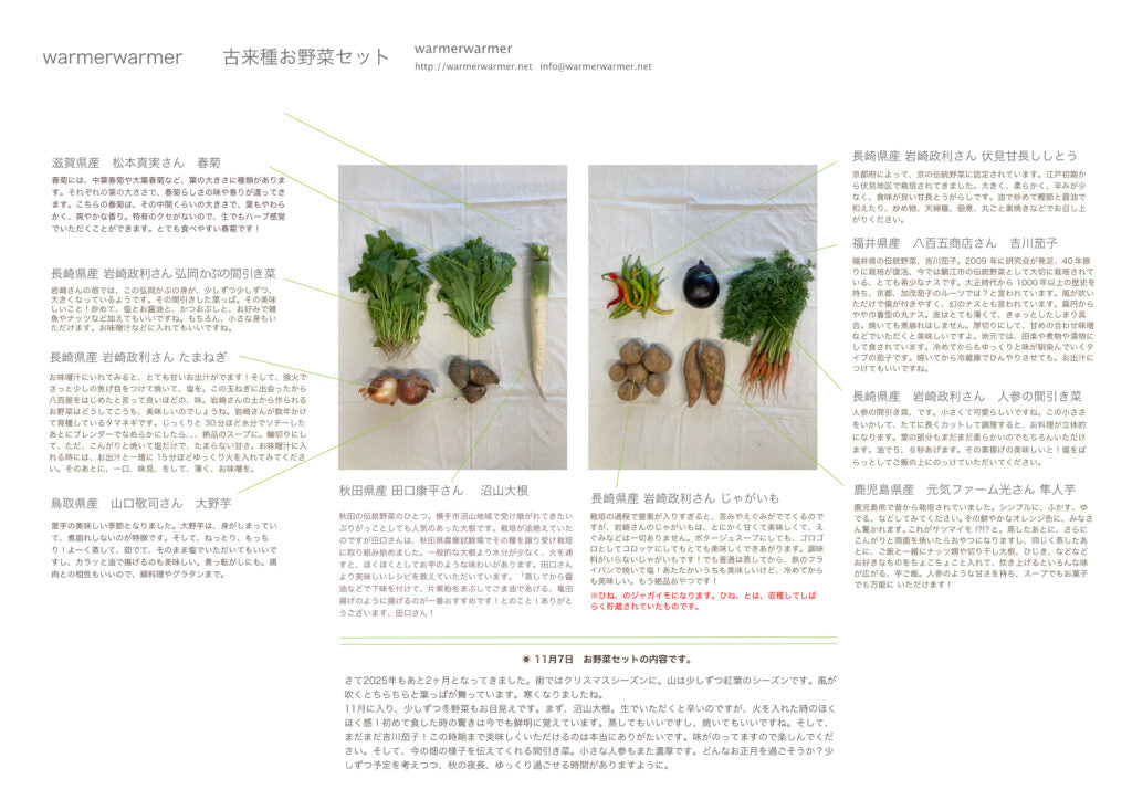 11月7日　お野菜セット