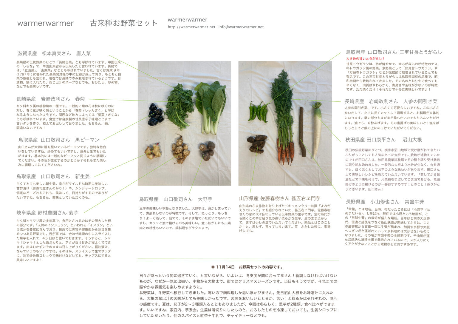 11月14日　お野菜セット