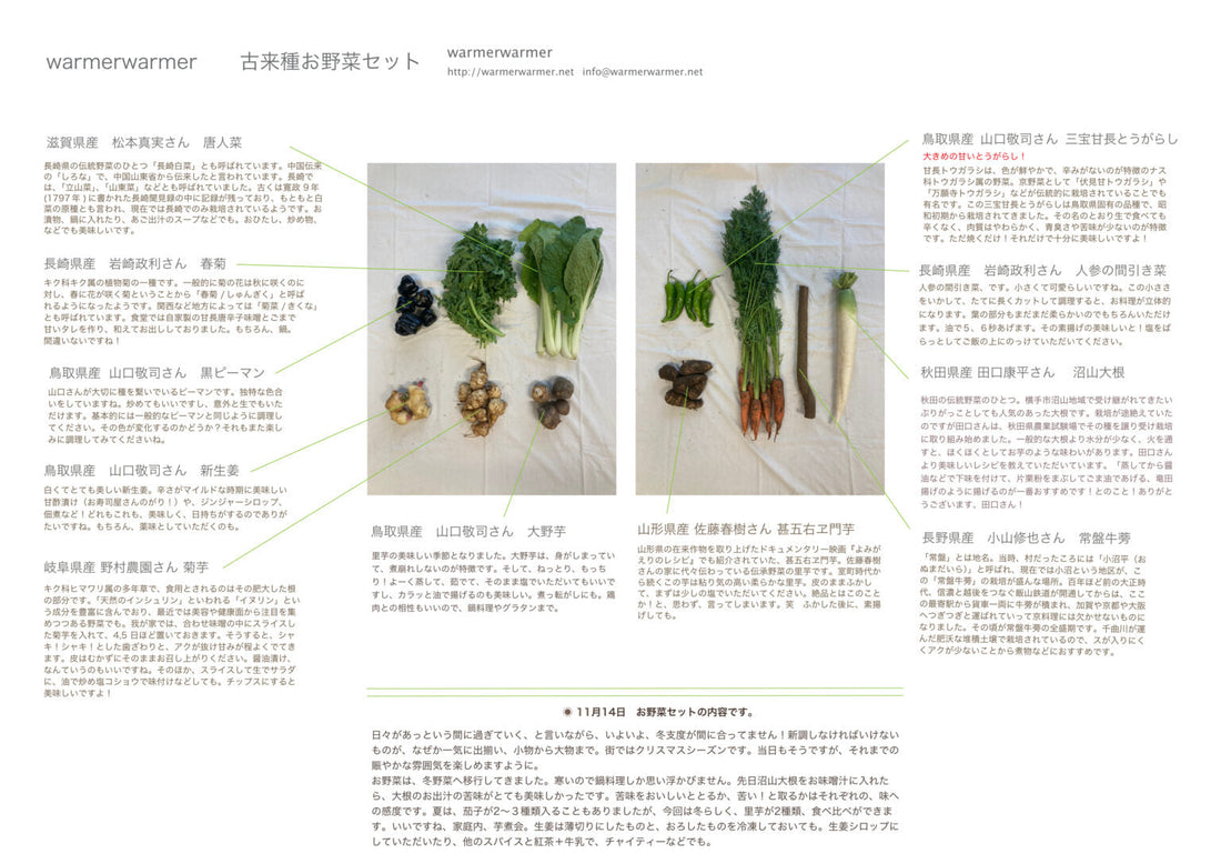 11月21日　お野菜セット