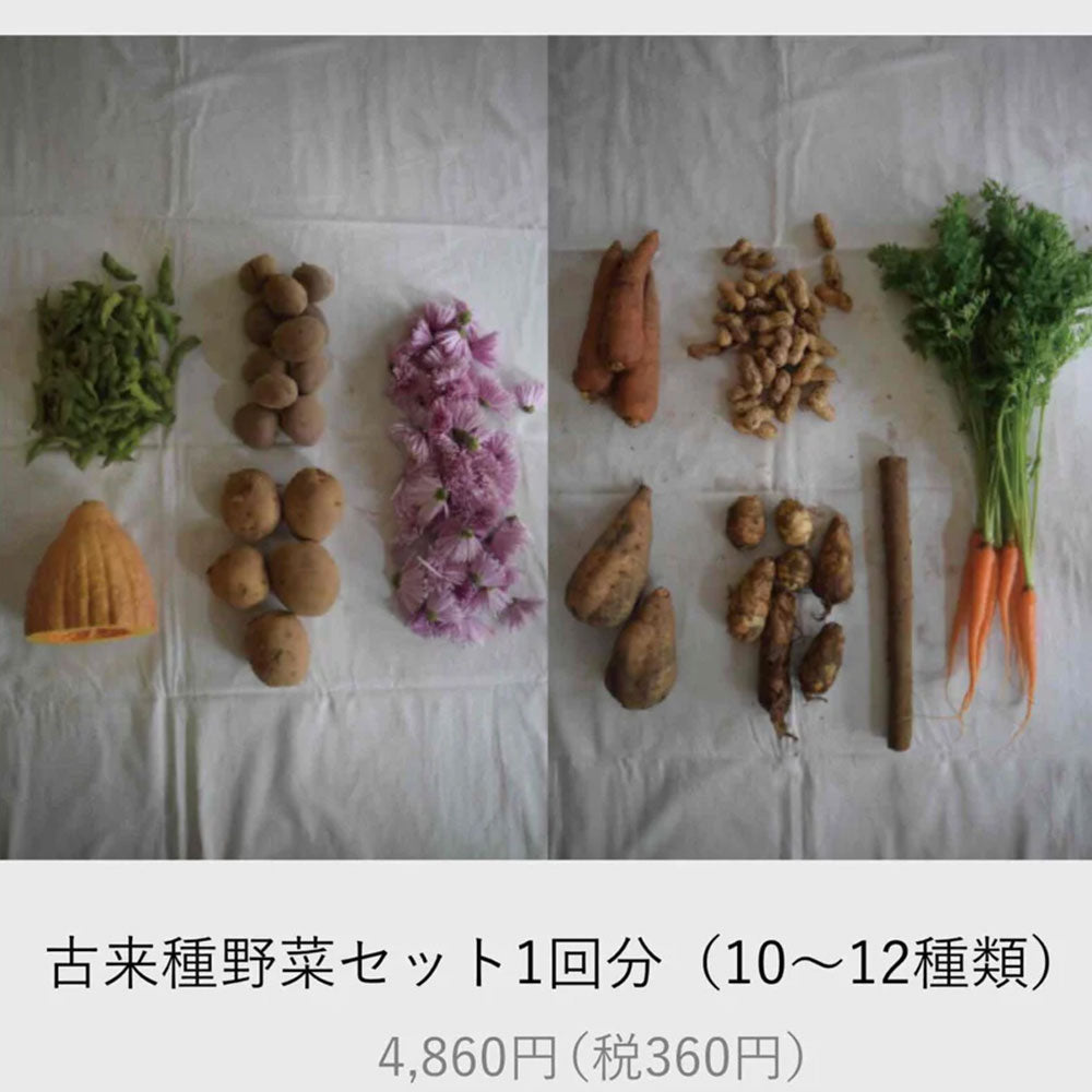 古来種野菜セット （10-12種類）