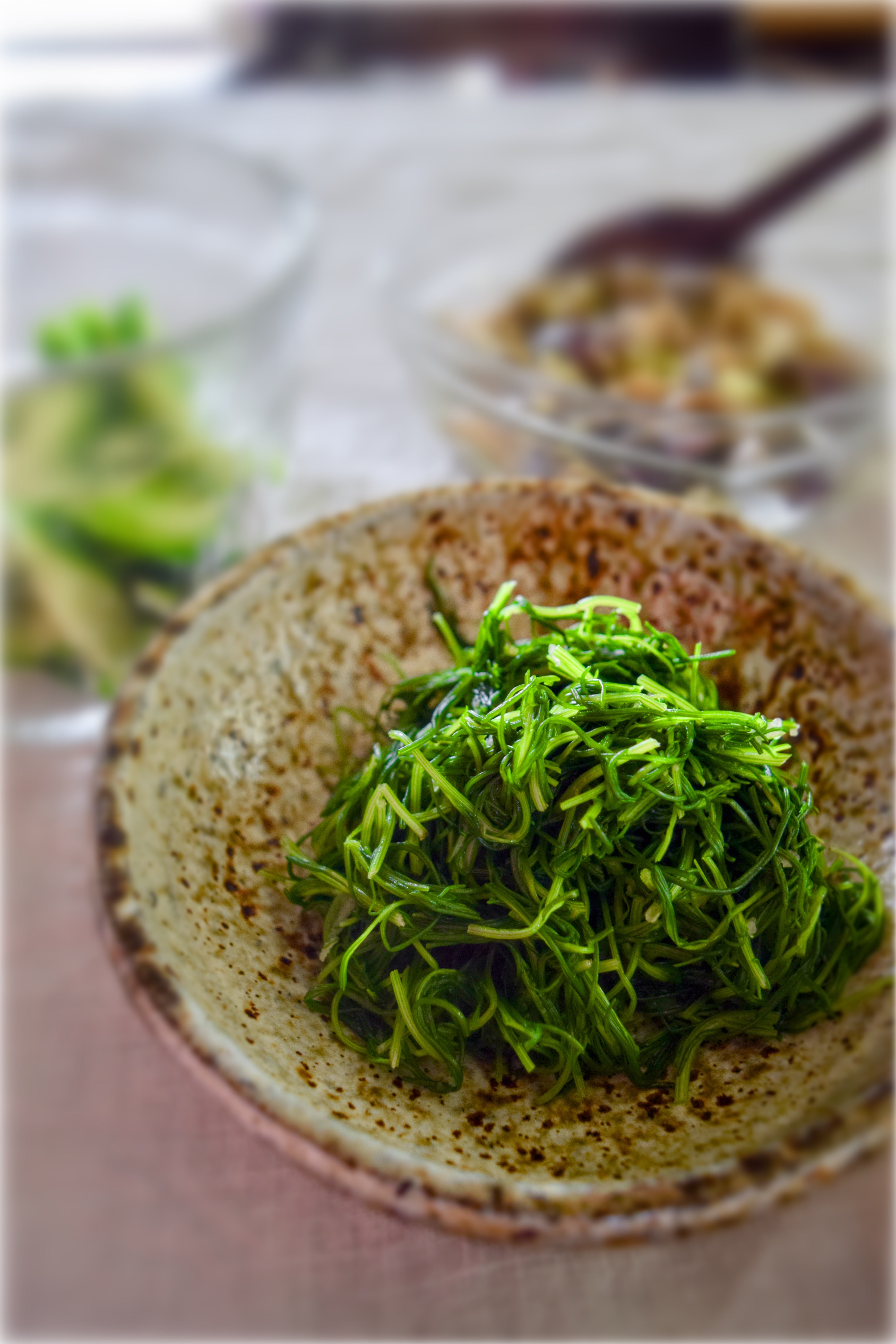 予約販売《 8月限定》 古来種野菜お試しセット