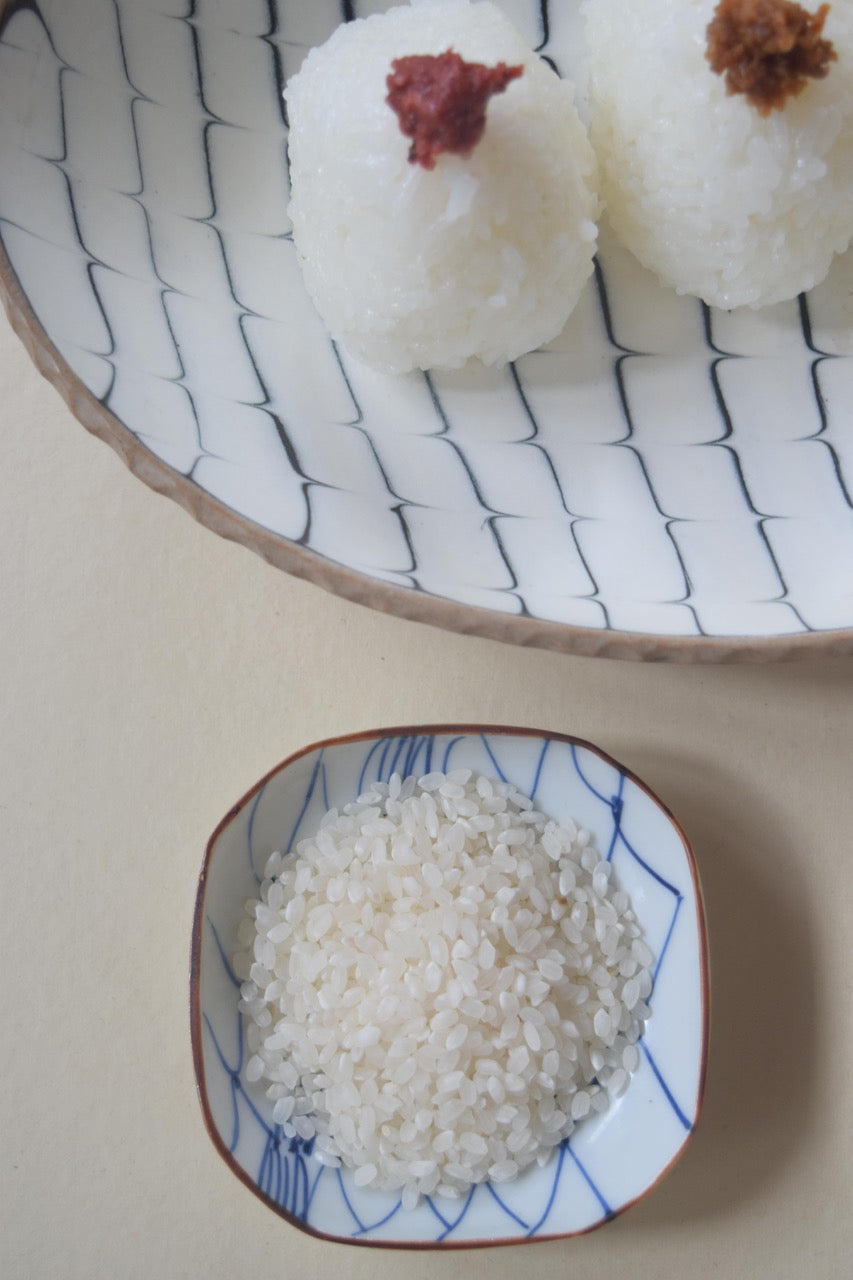 【白米】朝日／2025年産（無農薬・無肥料/ハザかけ天日干し）