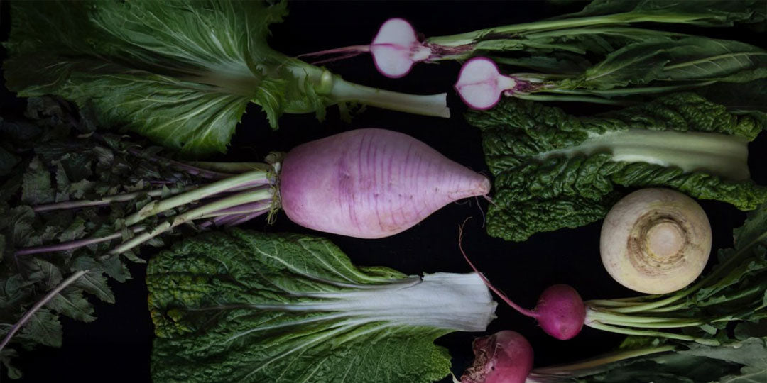 ソノリク農作物劇場